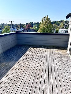 deck-before-cleaning