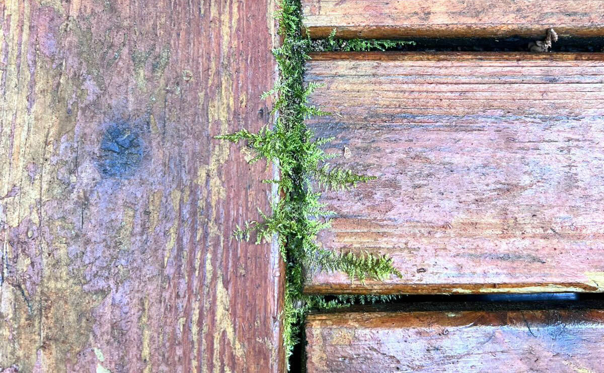 How We Prepare a Deck for Washing in Seattle